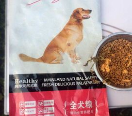 猫粮狗粮，需求各异，了解宠物饮食。