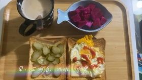 宠物饮食:控制食量,健康饮食