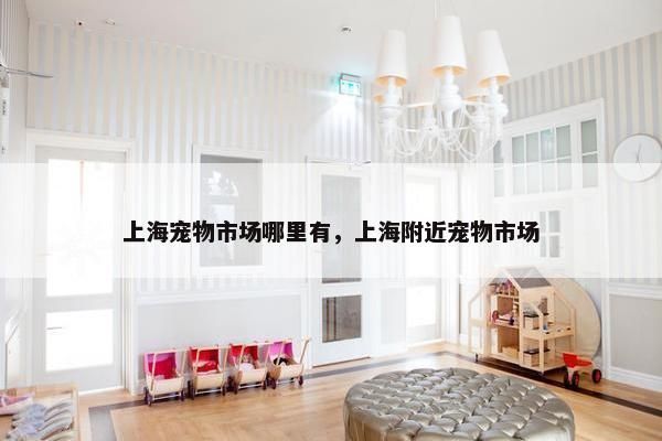 上海宠物市场哪里有，上海附近宠物市场