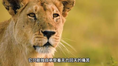 她失去了两个女儿，却孤身重建了整个王朝