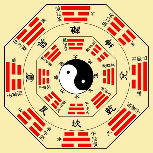 揭秘龙龟摆放风水秘诀:家中最佳位置图解!