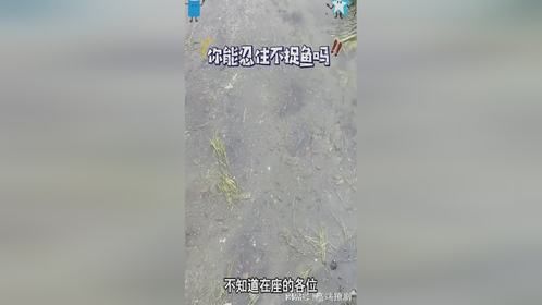 简直太浪费了，你能忍得住吗？