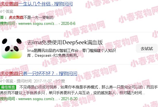 虎皮鹦鹉只认一个主人