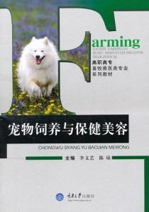 黑格尔野生七彩鸟:专业宠物饲养指南
