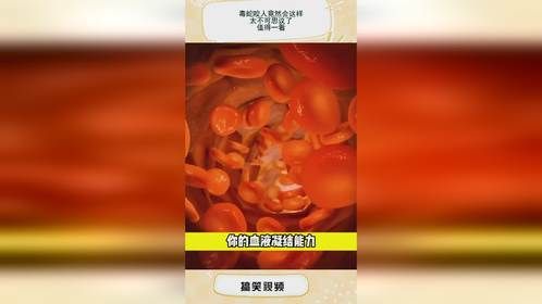 毒蛇咬人竟然会这样，太不可思议了，值得一看