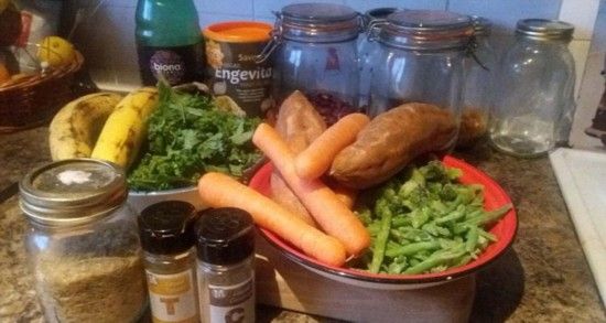 看英女子如何花式虐狗？准备终生只喂狗狗素食！