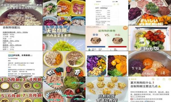 自制营养狗粮的食谱