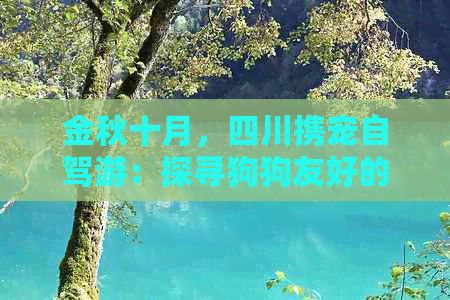 金秋十月，四川携宠自驾游：探寻狗狗友好的绝美旅行地