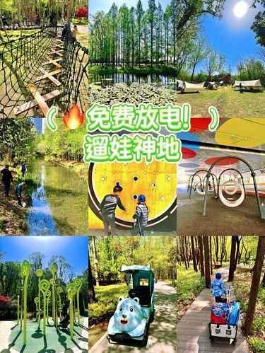 不费妈不烧钱❗这个公园我要安利100遍