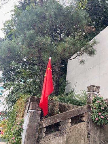 公园效应
