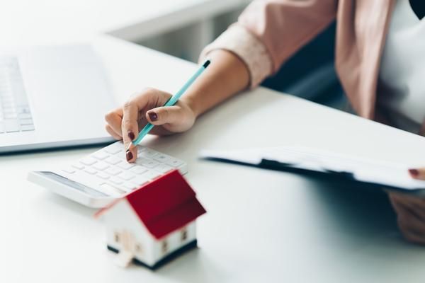犯罪现场之鹦鹉破案全过程：法律适用与司法实践全解析 图2