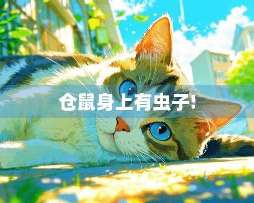 仓鼠身上有虫子!