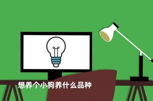 想养个小狗养什么品种