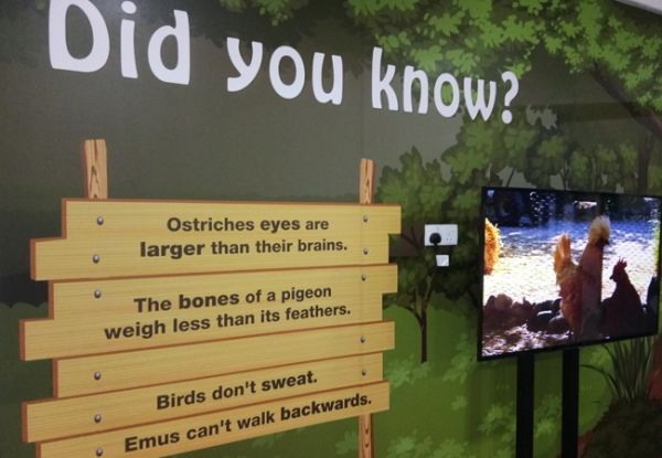 did you know 