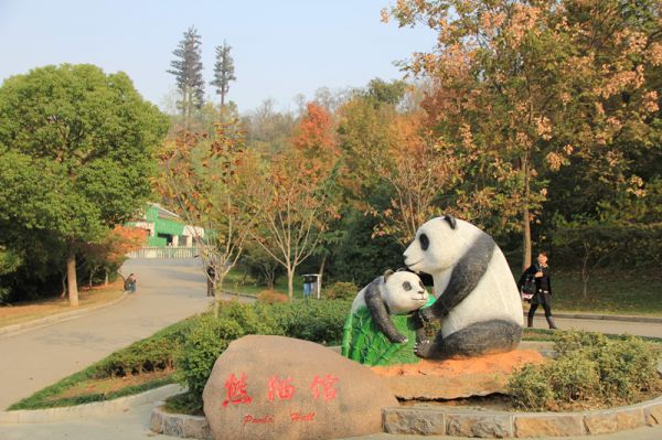 熊猫馆_副本-0ad01bc9-28f9-45bb-bf8d-31f1ca1d0469.jpg