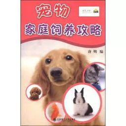 人字蝶宠物饲养秘籍