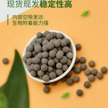 精致水族专用陶粒滤球-型号A7-水质净化-生态平衡-美观实用