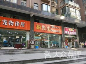 武汉宠物基地,秘境!