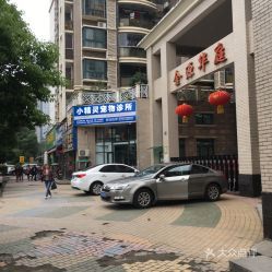 武汉宠物基地,秘境!
