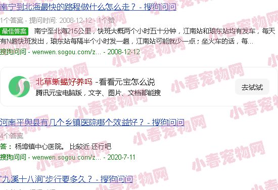 北草蜥蜴好养吗