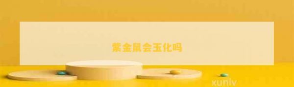 紫金鼠会玉化吗
