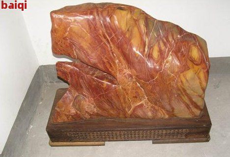 紫金鼠会玉化吗
