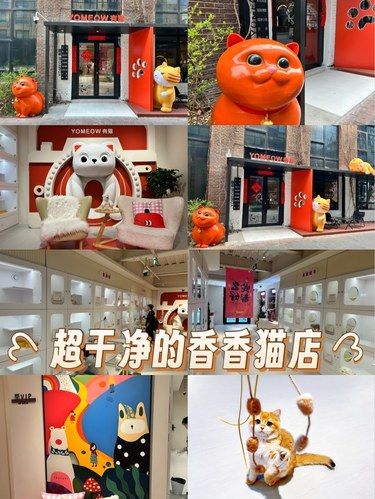 好久没见过这么干净的猫店了。。。。