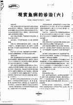 观赏鱼病的诊治 6