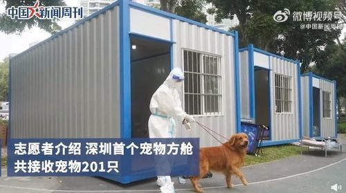 宠物托管中心：如何选择合适的托管服务？国内宠物托管中心排行榜
