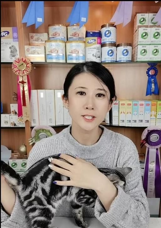 探寻山东狮子猫的价格与魅力（一窥山东狮子猫的市场行情与养殖技巧）