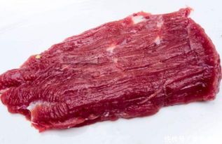 宠物狗饭怎么做有营养