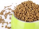 宠物食品与用品商城 成都狗粮批发中心