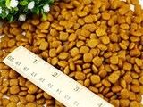 成都成犬狗粮宠物狗用品 成都成犬狗粮 让爱宠吃得健康