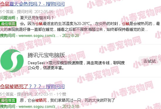 仓鼠被晒死了状态