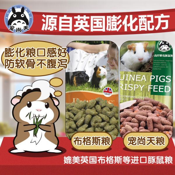 宠尚天 oem防软骨磨牙天竺鼠粮荷兰猪饲料 2鼠粮