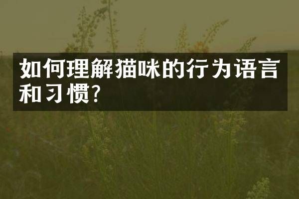 如何理解猫咪的行为语言和习惯？