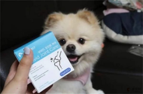 狗狗吃什么补钙 怎么判断是否缺钙