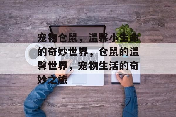 宠物仓鼠，温馨小生命的奇妙世界，仓鼠的温馨世界，宠物生活的奇妙之旅