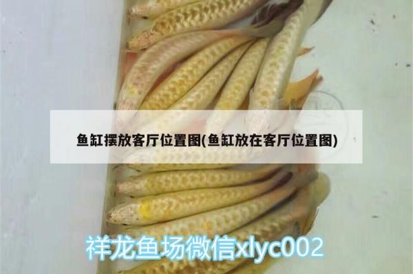 鱼缸摆放客厅位置图(鱼缸放在客厅位置图)（客厅鱼缸摆放客厅鱼缸摆放位置禁忌不能摆在财神下） 未命名