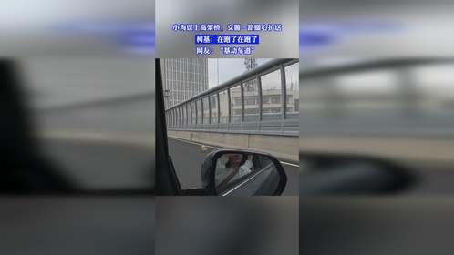 小狗误上高架桥，交警一路暖心护送，柯基：在跑了在跑了，网友：“基动车道”