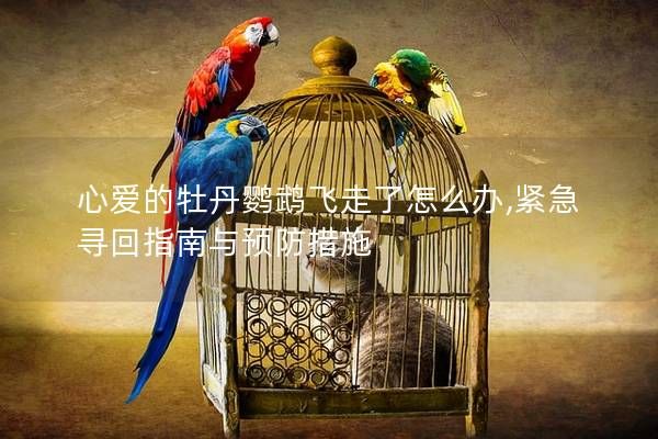 心爱的牡丹鹦鹉飞走了怎么办,紧急寻回指南与预防措施