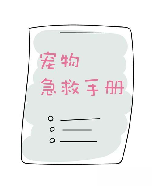 宠物急救指南:紧急情况应对术