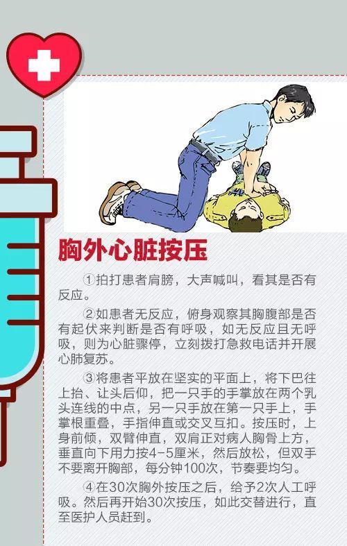 宠物急救指南:紧急情况应对术