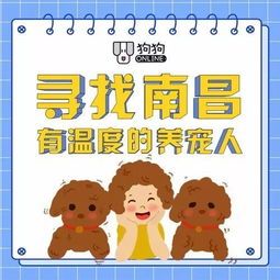 养宠秘籍:健康快乐,从‘毛’开始