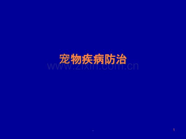 宠物疾病诊治(绪论)ppt课件.ppt_第1页