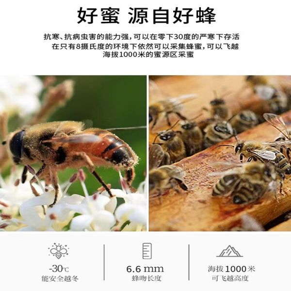 【9xhd.com蜂蜜36】陈皮蜂蜜水做法：益盛永泰椴树蜜洋槐百花蜜纯正天然蜂蜜 与辉同行同款 送长辈父母5754