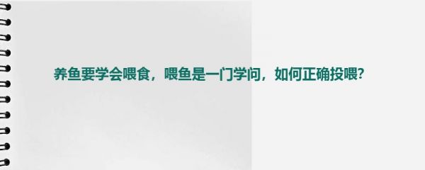 养鱼要学会喂食，喂鱼是一门学问，如何正确投喂？