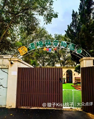 这家宠物店超高效,服务超迅速❤️