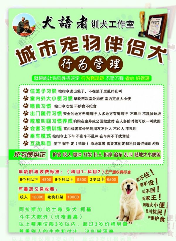 宠物训练图片