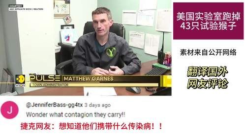 美国43只试验猴子逃离，背后隐忧引关注